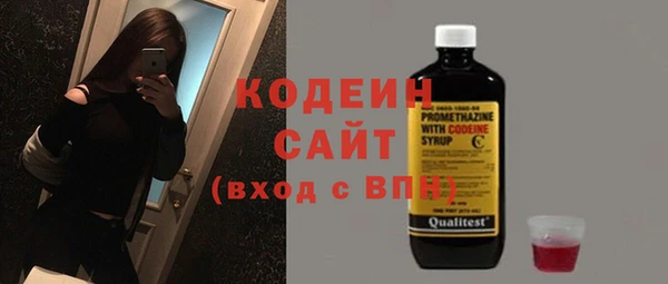 крисы Елабуга