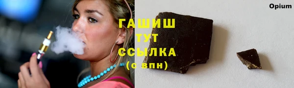 крисы Елабуга