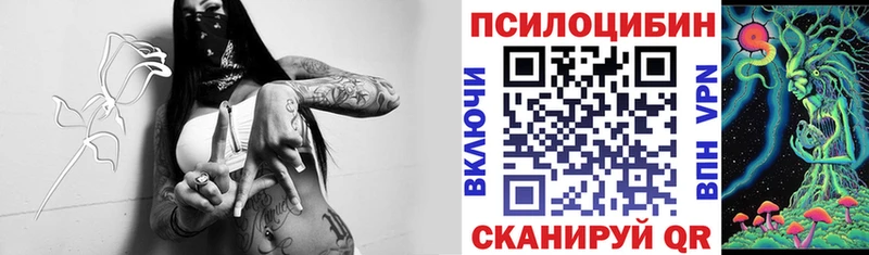 Галлюциногенные грибы Cubensis  Северобайкальск 