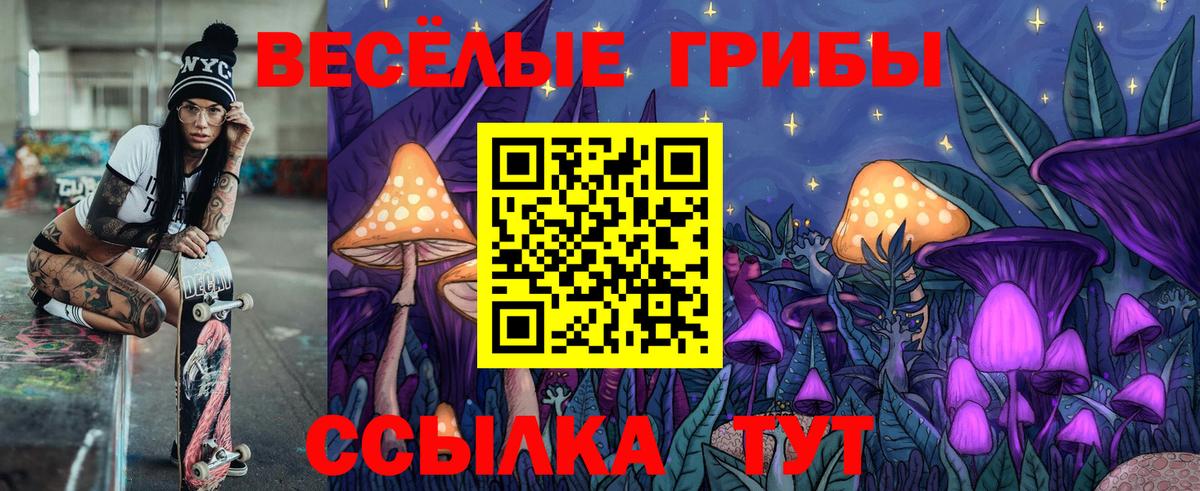 Псилоцибиновые грибы ЛСД Северобайкальск